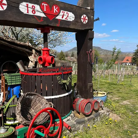 Erdodi Liget Badacsony Hegyen Nemesgulacs